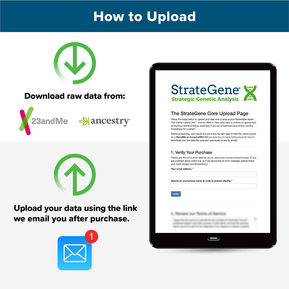 strategene_23_and_me_ancestry_upload